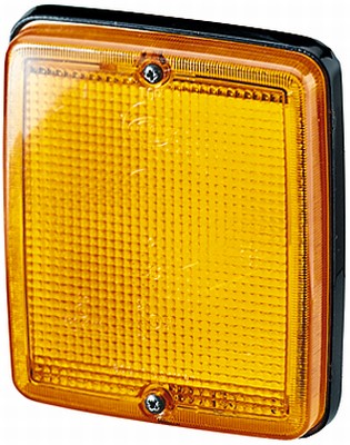 HELLA 2BA 005 200-311 Blinkleuchte
